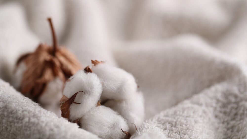 Jakie materiały są odporne na roztocza kurzu?