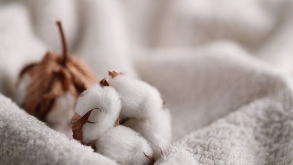 Jakie materiały są odporne na roztocza kurzu?